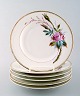 6 antique Royal Copenhagen plates hand decorated with flowers. Approximately 
1850s.