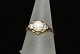 Antik Huset 
presents: 
Gold ring 
with pearl and 
diamonds 14 
carat.
Size: 51, 
-16.23 mm.