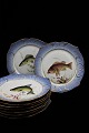 K&Co. presents: 
12 pcs. 
Royal 
Copenhagen 
dinner plate 
decorated with 
fish motifs..
Dia.:24,5cm 
RC#1212/3002...