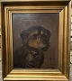 Reutemann Antik 
presents: 
Painting 
by Niels A. 
lytzen: Dog 
Portrait