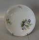 Klosterkælderen 
presents: 
Paris 326 
Luncheon platen 
ca 21 cm B&G 
Porcelain