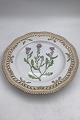 Danam Antik 
presents: 
Royal 
Copenhagen 
Flora Danica 
Plate with 
pierced border 
No 20/3553 / 
637