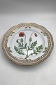 Danam Antik 
presents: 
Royal 
Copenhagen 
Flora Danica 
Plate with 
pierced border 
No 20/3553 / 
637