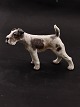 Middelfart 
Antik presents: 
Dahl 
Jensen Fox 
Terrier 1009