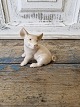 Karstens Antik 
presents: 
B&G Figure 
- year figure 
2003 pig