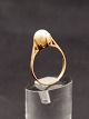 Middelfart 
Antik presents: 

8 carat 
gold ring with 
pearl