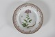 Stari Antik 
presents: 
Royal 
Copenhagen
Flora Danica
Dinner plate 
3549
Ø 25 cm