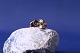 Antik Huset 
presents: 
Sterling 
silver earrings 
in gold plated 
silver / silver