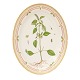 Aabenraa 
Antikvitetshandel 
presents: 
Royal 
Copenhagen 
Flora Danica 
large plate 
3517. L: 36cm. 
"Elsholtzia ...