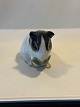 Stentoft Antik 
presents: 
B&G 
figurine of 
Guinea pig No 
2499nice and 
great condition