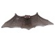 Antik K 
presents: 
Royal 
Copenhagen tray
Bat