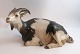 Lundin Antique 
presents: 
Royal 
Copenhagen. 
Lying goat. 
Model # 466. 
Length 27.5 cm. 
(1 quality). 
Produced ...