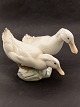 Middelfart 
Antik presents: 
Royal 
Copenhagen 
ducks #412