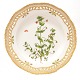 Aabenraa 
Antikvitetshandel 
presents: 
Royal 
Copenhagen 
Flora Danica 
dinner plate 
3553. 
"Anagallis 
arvensis L.". 
...