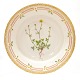 Aabenraa 
Antikvitetshandel 
presents: 
Flora 
Danica deep 
plate 3545. 
Potentilla 
niveau L.". H: 
5cm. D: 24,5cm
