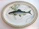 Lundin Antique 
presents: 
Royal 
Copenhagen. 
Fauna Danica, 
fish. Oval 
serving 
platter. Model 
# 19 - 3520. 
Length ...