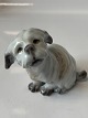 Antik Huset 
presents: 
Dahl 
Jensen dog 
figurine, 
Maltese.
Decoration No. 
1120