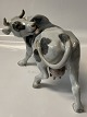 Antik Huset 
presents: 
B&G 
figurine Cow 
licking its 
side
Dec. No. 2161.