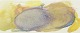 L'Art presents: 
Helge 
Christiansen 
(1913–1986), 
Abstract 
Composition.
Denmark.