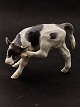 Middelfart 
Antik presents: 
Royal 
Copenhagen calf 
432