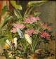Pegasus – Kunst 
- Antik - 
Design 
presents: 
Danish 
artist (19th 
century): 
Flowering 
potted plants 
on a table.