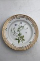 Danam Antik 
presents: 
Royal 
Copenhagen 
Flora Danica 
Salad Plate No. 
20 / 3573