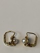 Antik Huset 
presents: 
14 carat 
gold earrings 
with pearl.
Length 1.2 cm.