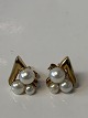 Antik Huset 
presents: 
8 carat 
gold Earrings 
with Pearls.
Measures 1 x 
1,4 cm.