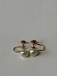 Antik Huset 
presents: 
Earrings 
with pearl, 14 
Karat Gold with 
Screw Lock