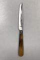 Danam Antik 
presents: 
Tilquin-
Anvers 
Stainless Lunch 
Knife - 20,7 cm