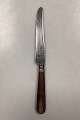 Danam Antik 
presents: 
Tilquin-
Anvers 
Stainless 
Dining Knife - 
25 cm