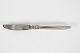 Stari Antik 
presents: 
Georg 
Jensen
Cactus cutlery 
dinner Knife 2. 
quality