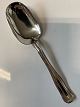 Antik Huset 
presents: 

Children's 
spoon in Double 
fluted sterling 
silver by Georg 
Jensen.
Length 15.5 
cm.