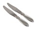 Antik K 
presents: 
Georg 
Jensen Cactus 
sterling silver
Luncheon 20.5 
cm.