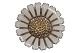 Antik K 
presents: 
Hertz 
Silver
Small Daisy 
brooch