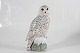 Stari Antik 
presents: 
Royal 
Copenhagen
Snowy owl no. 
1829
