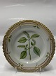 Antik Huset 
presents: 
Flora 
Danica Cake 
plate 17 cm. 
#3551 
"Elsholtzia 
cristata 
Wiild.".