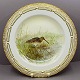 Antik Damgaard-Lauritsen presents: Royal Copenhagen, Flora Danica Animal; Dinnerplate 25,5 cm No. 3549