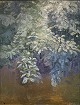 Dansk Kunstgalleri presents: "Beech by a River" Oil painting, an early work, possibly the artist's wife Alhed ...