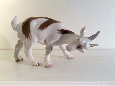 Bing & Grondahl
Goat
# 1699
* 500kr