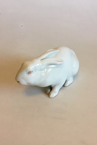 Royal Copenhagen Figurine of Albino Rabbit