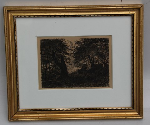 Etching: Skovgaard 1891 Forrest 23.7 x 28 cm in golden frame