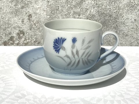 Bing & Grondahl
Cornflower
Coffee cup set
# 305 # 102
* 50kr