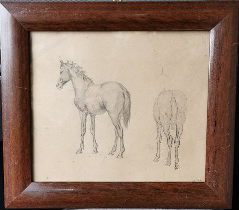 Valdemar Irminger: Lead drawing of a horse 1872