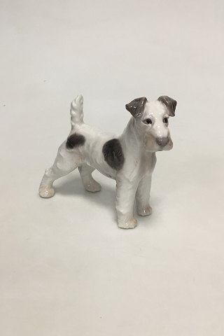 Bing and Grondahl Figure of the Wirehaired Foxterrier No. 1998