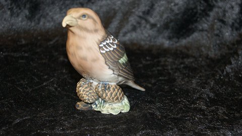 #Dahl Jensen porcelæns figur af fugl #Korsnæb. 
Dek nr #1356