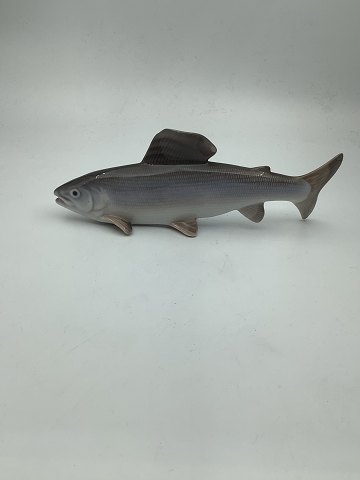 Royal Copenhagen Figurine Fish Greyling No. 2756