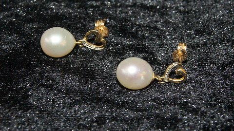 Elegante Øreringe med Perle 14 karat guld