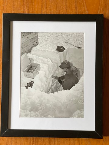 Original black and white photo of underground tunnel construction - forerunner 
of Camp Century and project Iceworm - in Greenland from 1955. Soldier from the 
American engineering troops examines the thickness of the ice layer in the 
Greenlandic subsoil