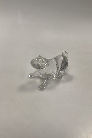Baccarat Fransk Glas Bulldog Figur